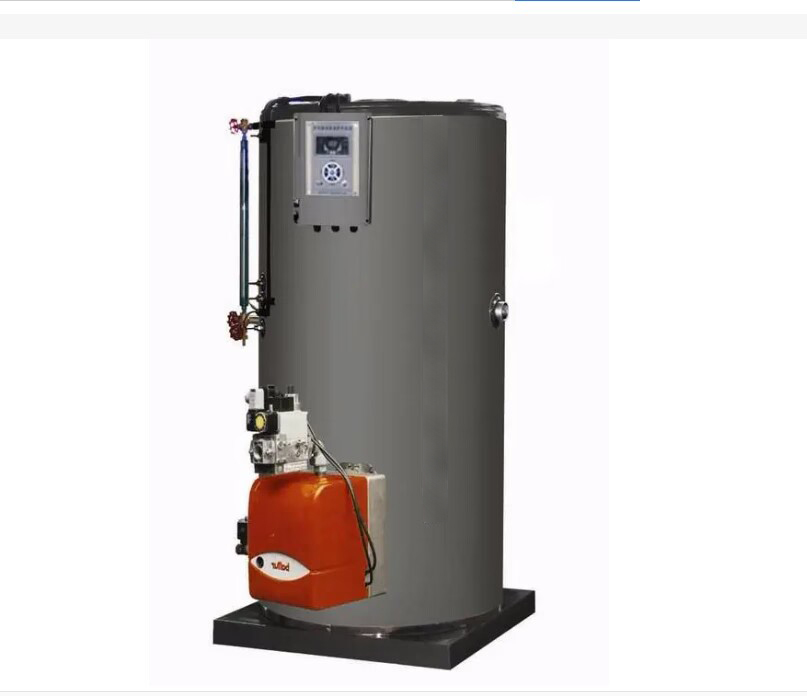 gas steam boiler